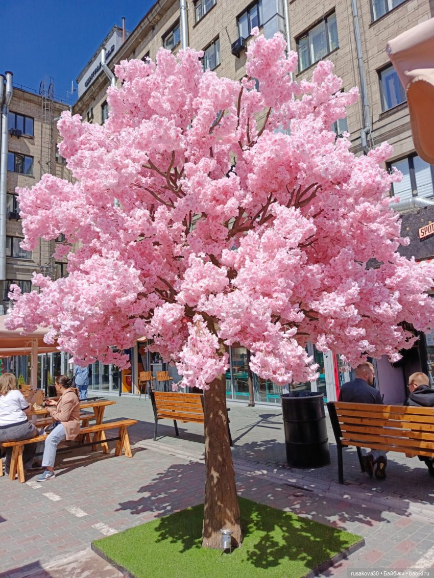 А лето цвета неба, огромное и синее (фото 5)