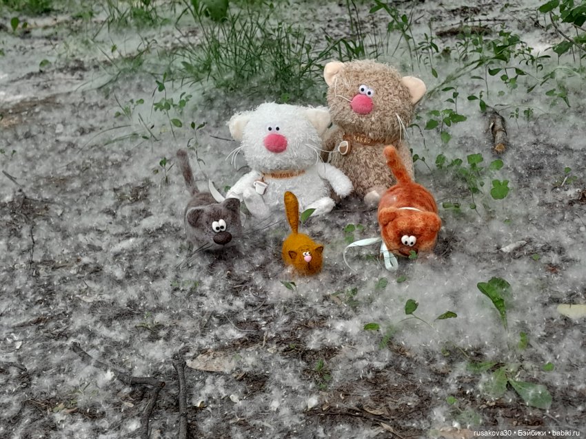 Тополиный пух, жара, июль