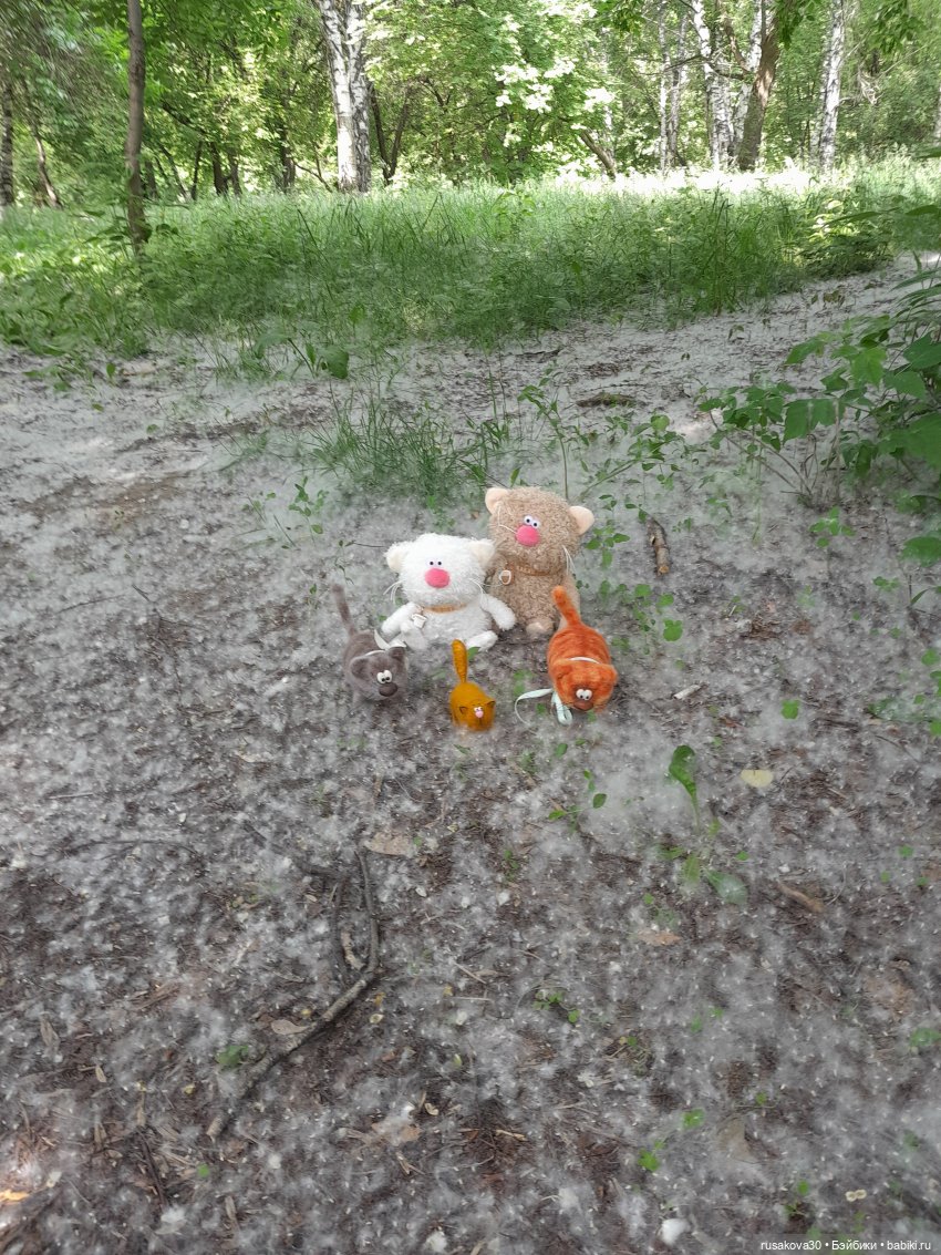 Тополиный пух, жара, июль (фото 6)