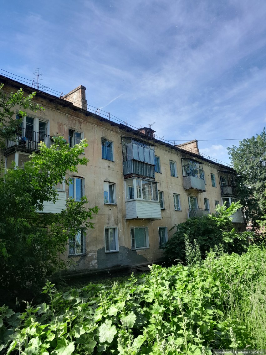 Тополиный пух, жара, июль (фото 2)