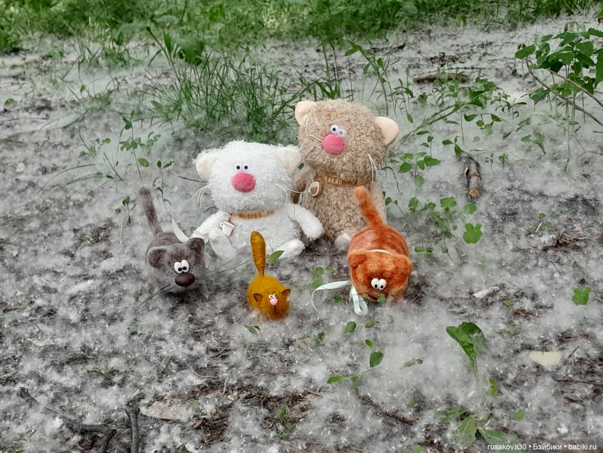 Тополиный пух, жара, июль