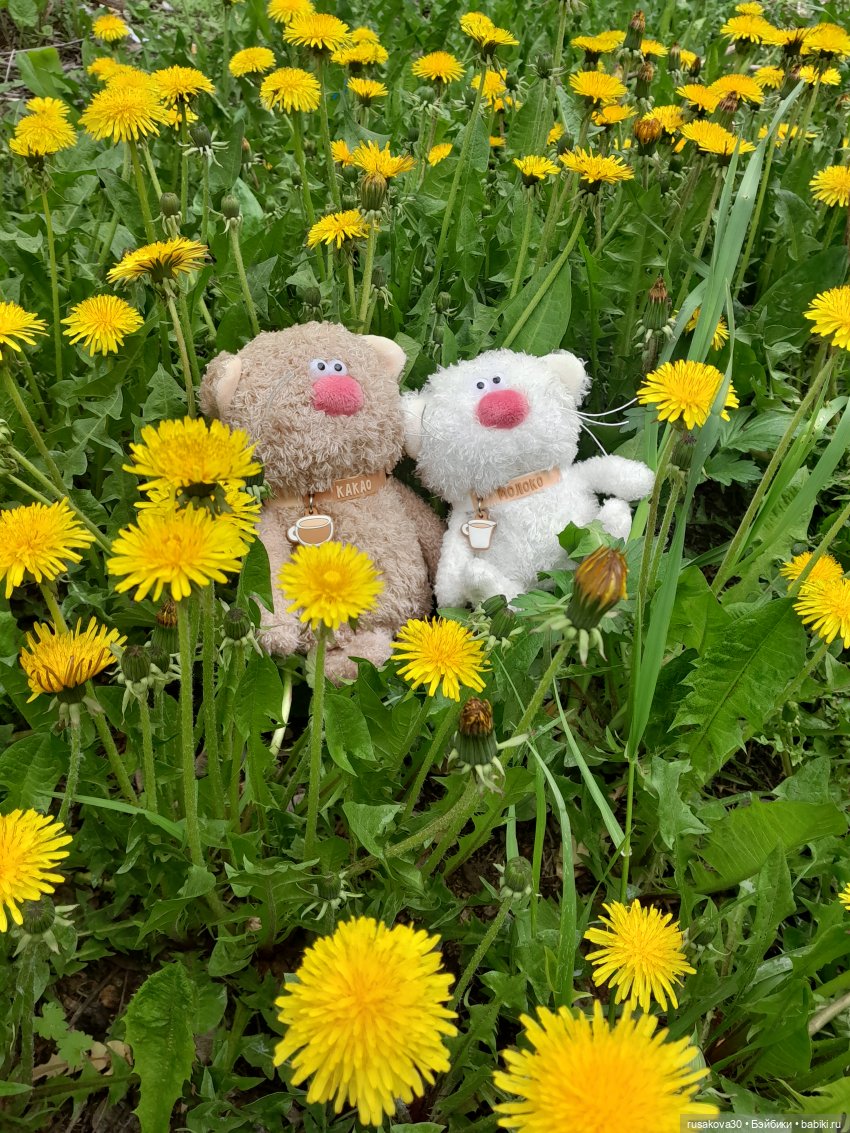 А лето цвета неба, огромное и синее (фото 10)