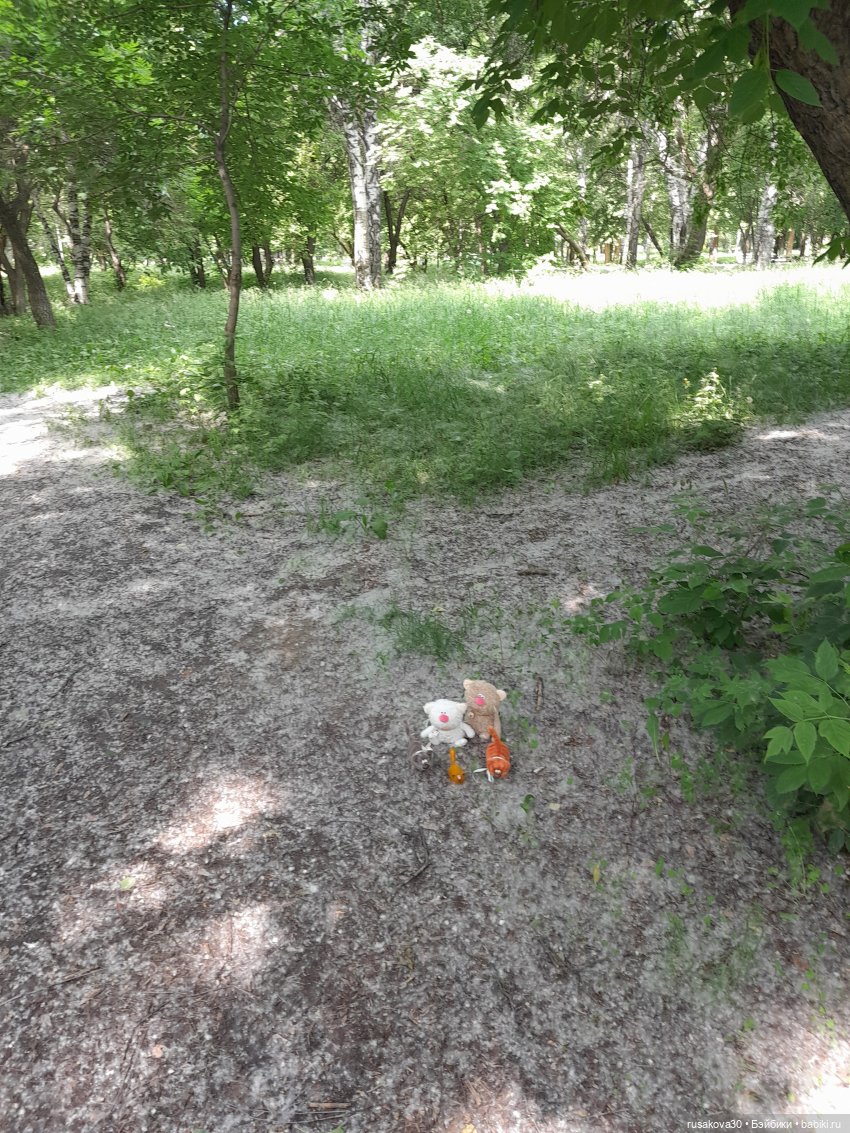 Тополиный пух, жара, июль (фото 7)