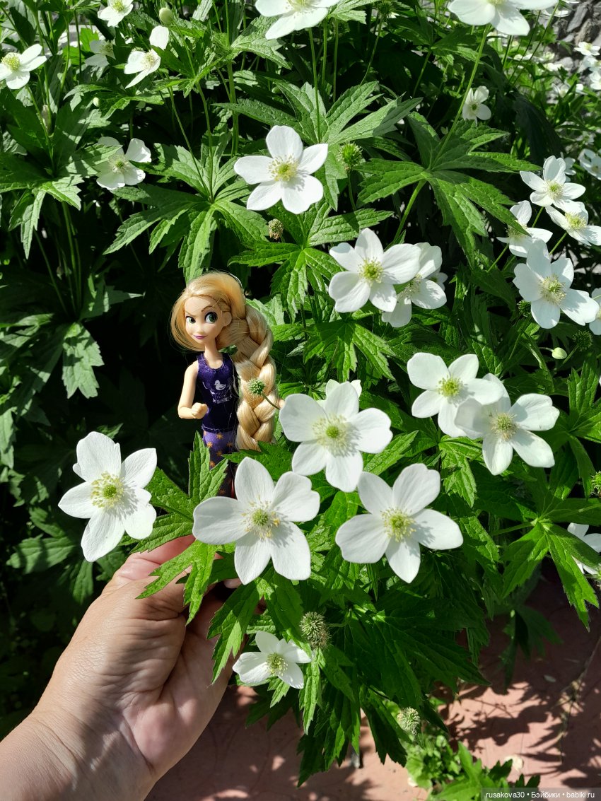 Рапушкино лето — Куклы Disney Animators и Принцессы Диснея: Disney Store