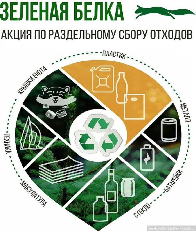 «Зелёная белка» или куда деть старые книги (фото 4)