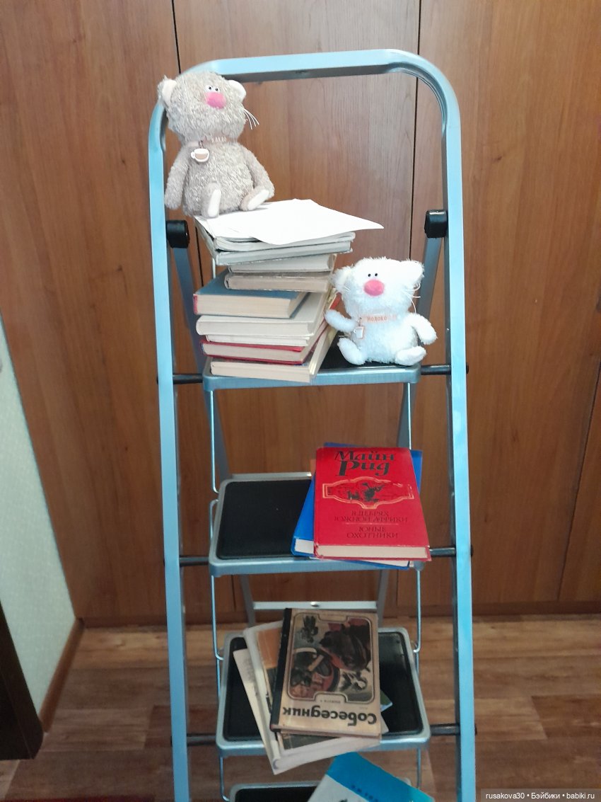«Зелёная белка» или куда деть старые книги (фото 7)