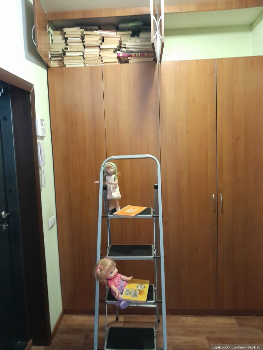 «Зелёная белка» или куда деть старые книги (фото 2)