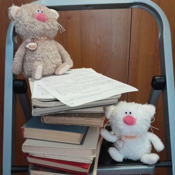 «Зелёная белка» или куда деть старые книги