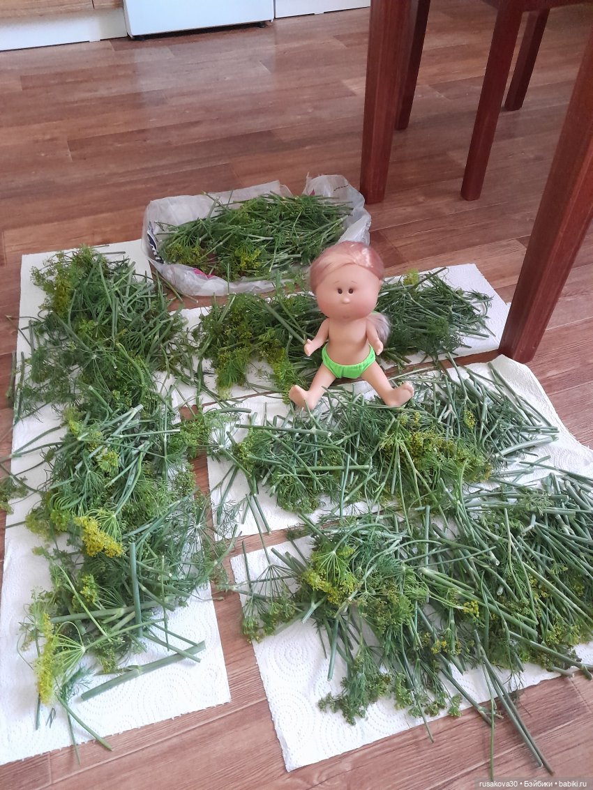 Как Мийка на даче отдыхала