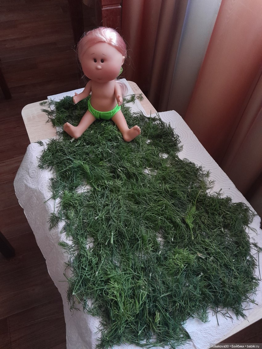 Как Мийка на даче отдыхала