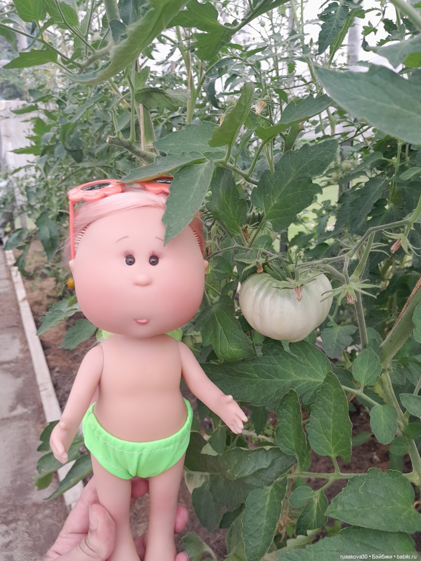 Как Мийка на даче отдыхала (фото 10)