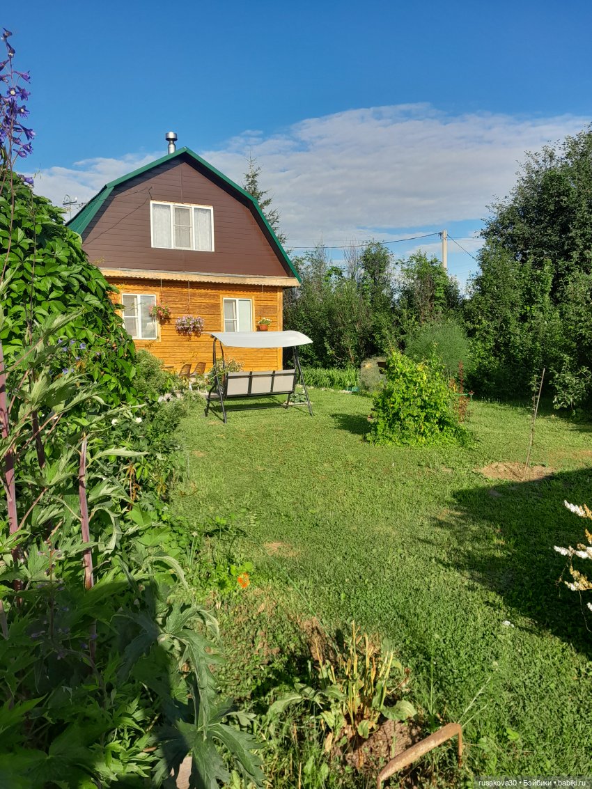 Лисята дачники — Авторские мишки Тедди и друзья: фото (фото 2)