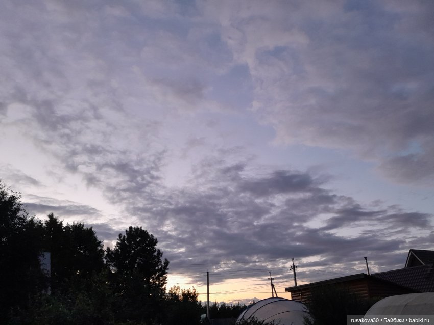 Лисята дачники — Авторские мишки Тедди и друзья: фото (фото 9)