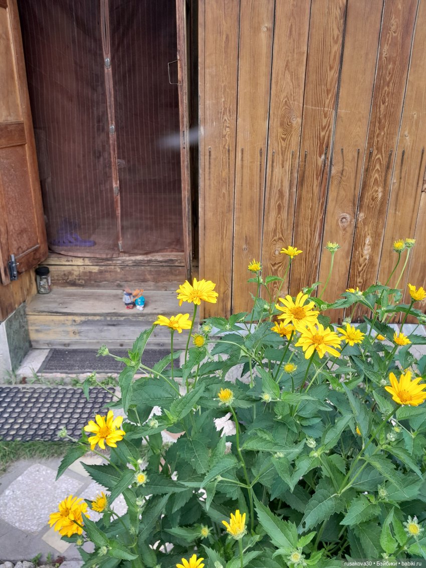 Лисята дачники — Авторские мишки Тедди и друзья: фото (фото 6)