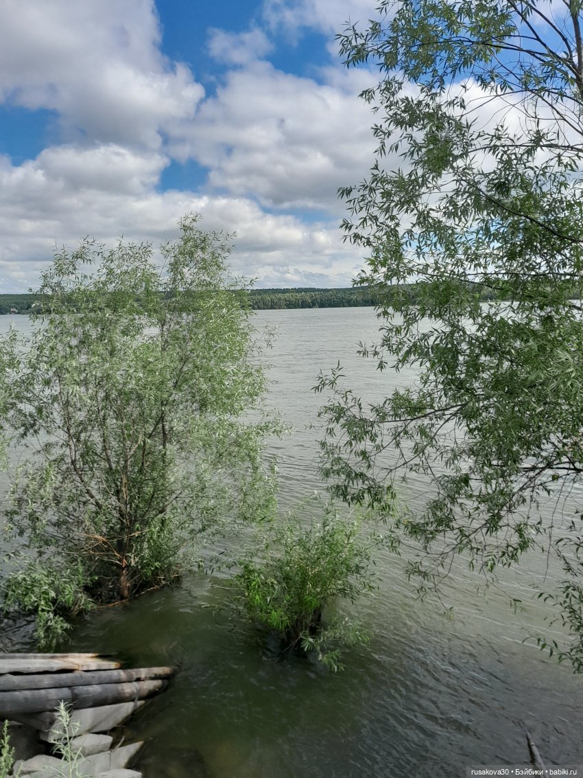 Лисята дачники — Авторские мишки Тедди и друзья: фото (фото 8)