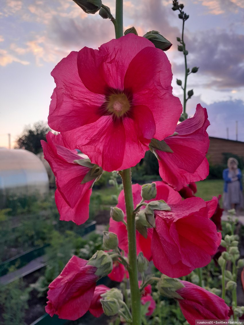 Лисята дачники — Авторские мишки Тедди и друзья: фото (фото 5)