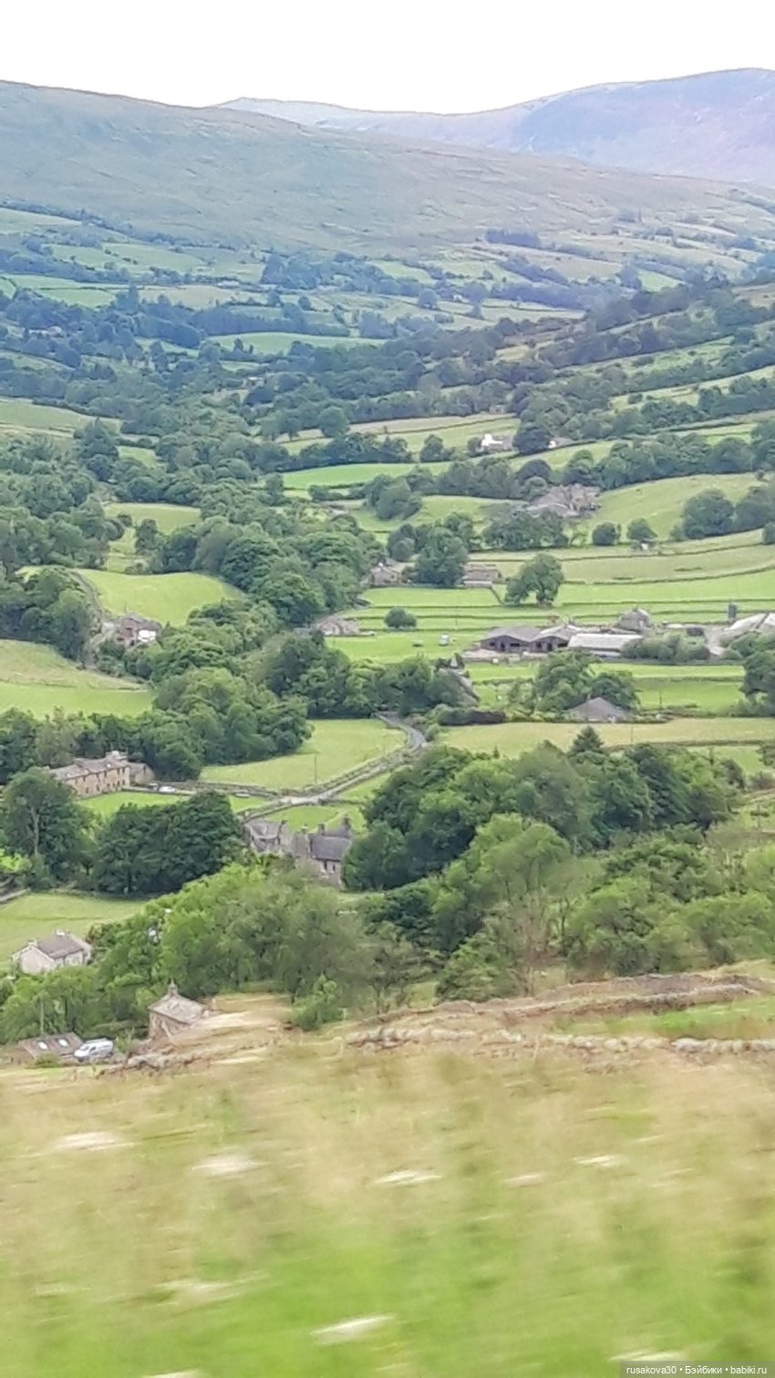 Басики едут в Скиптон — Кот Басик (фото 3)