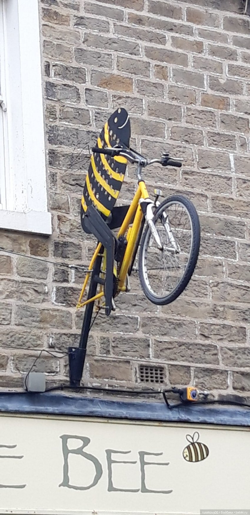 Басики едут в Скиптон — Кот Басик