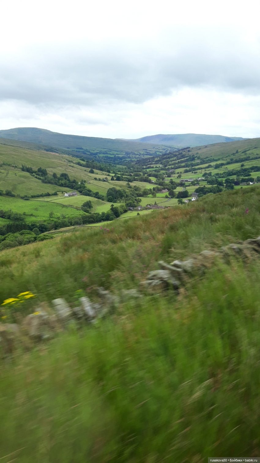 Басики едут в Скиптон — Кот Басик (фото 4)