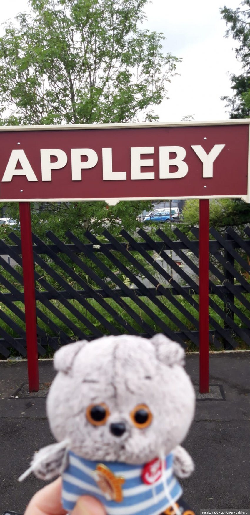 Басики едут в Скиптон — Кот Басик