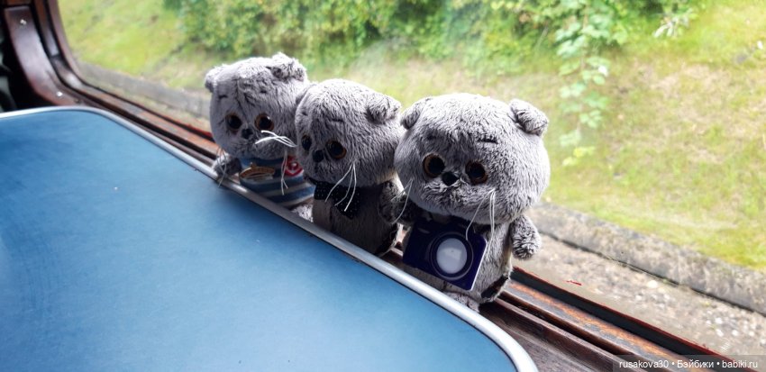 Басики едут в Скиптон — Кот Басик