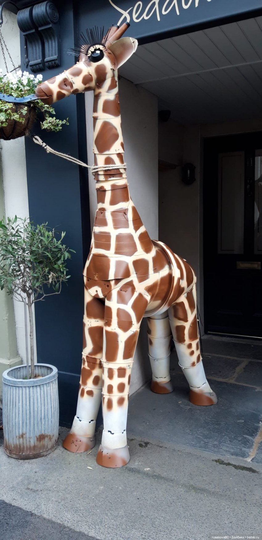 Басики едут в Скиптон — Кот Басик