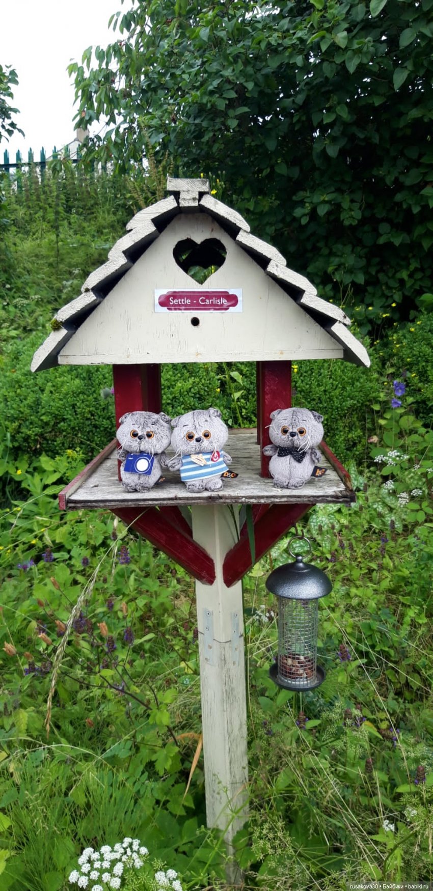 Басики едут в Скиптон — Кот Басик