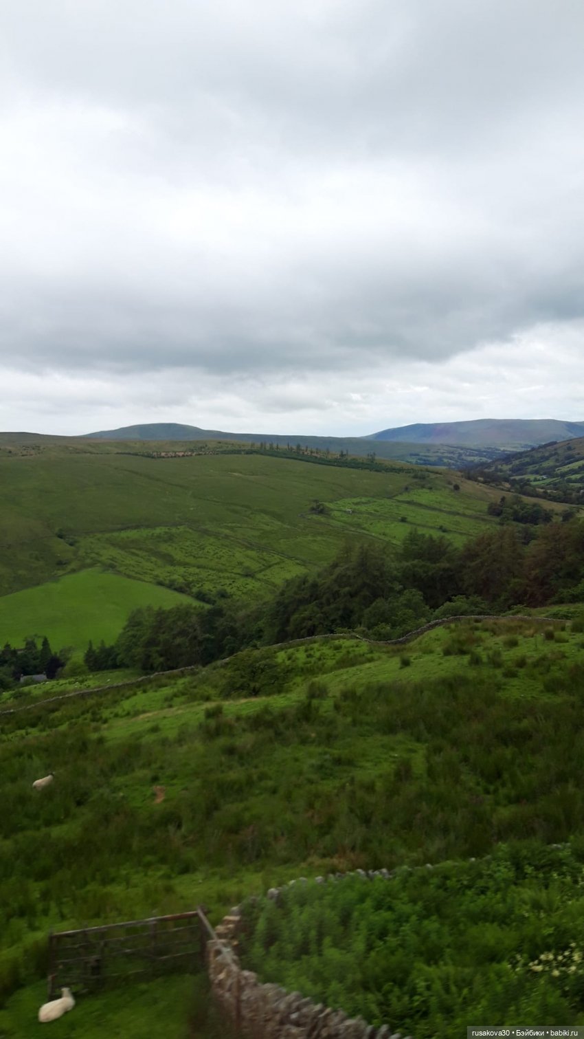 Басики едут в Скиптон — Кот Басик