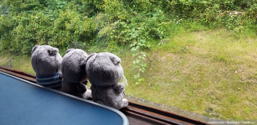 Басики едут в Скиптон — Кот Басик