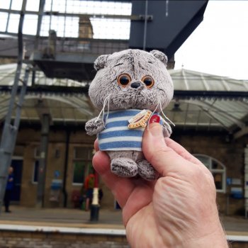 Басики едут в Скиптон