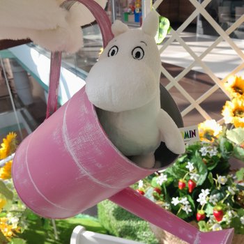 Маленький Муми-тролль и сибирское лето