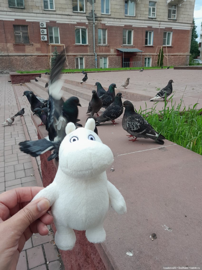 Маленький Муми-тролль и сибирское лето (фото 4)