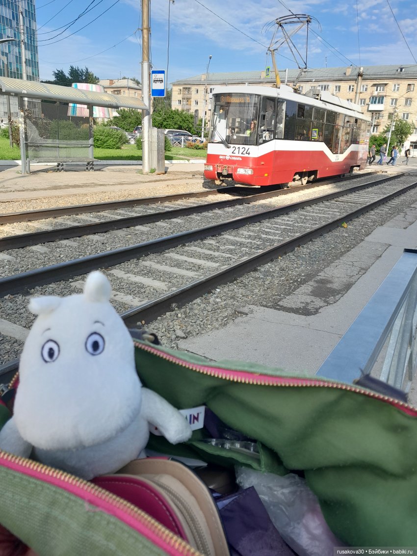 Маленький Муми-тролль и сибирское лето (фото 5)