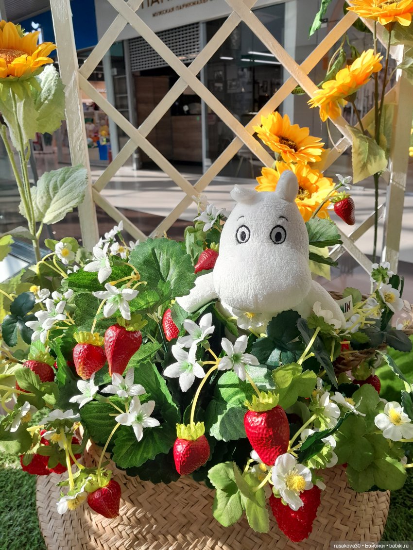 Маленький Муми-тролль и сибирское лето (фото 9)