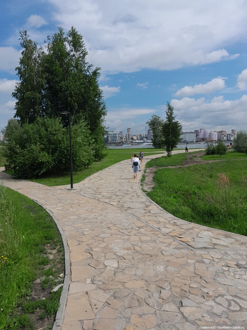 Снежка и лисята гуляют по парку Арена