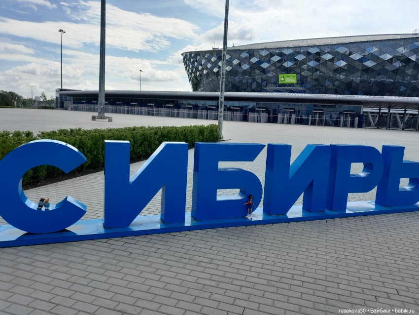 Снежка и лисята гуляют по парку Арена (фото 5)