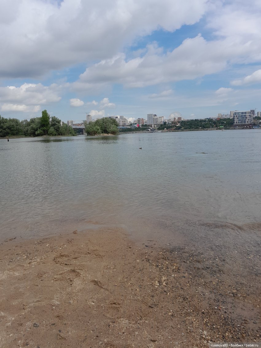 Снежка и лисята гуляют по парку Арена