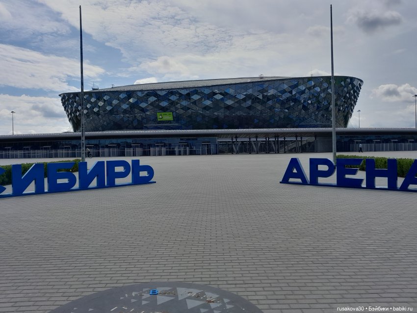Снежка и лисята гуляют по парку Арена (фото 3)