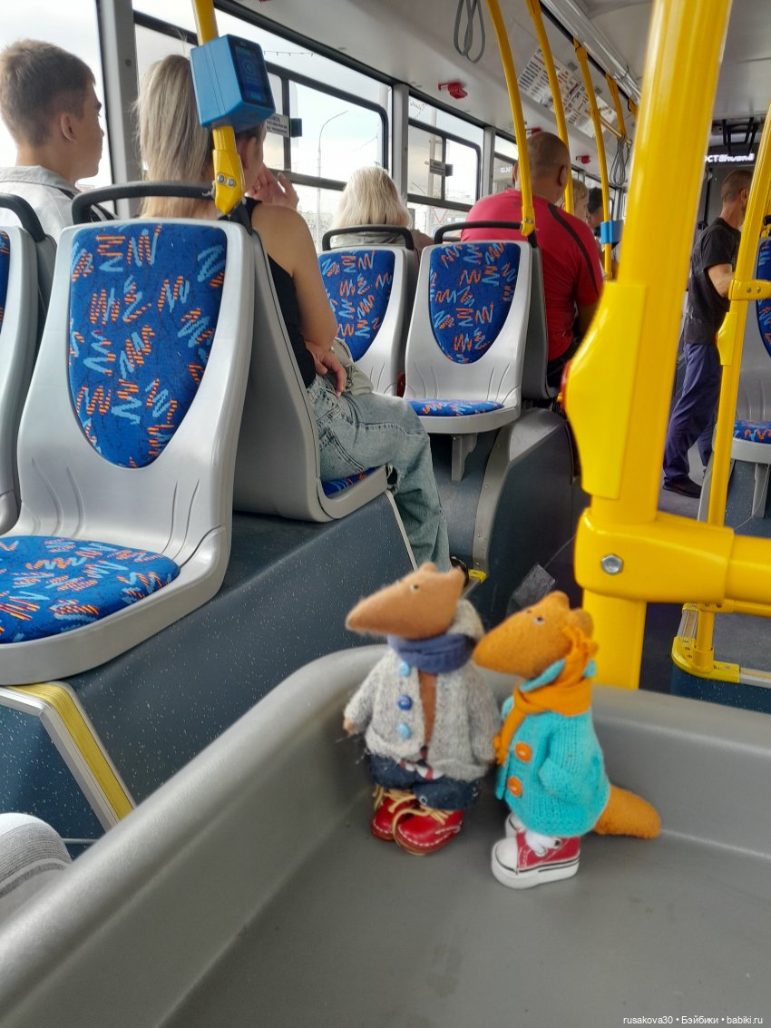Снежка и лисята гуляют по парку Арена