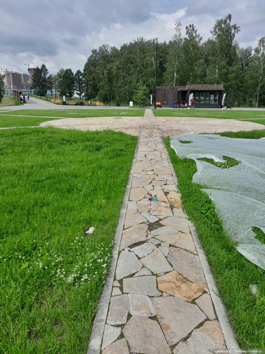 Снежка и лисята гуляют по парку Арена