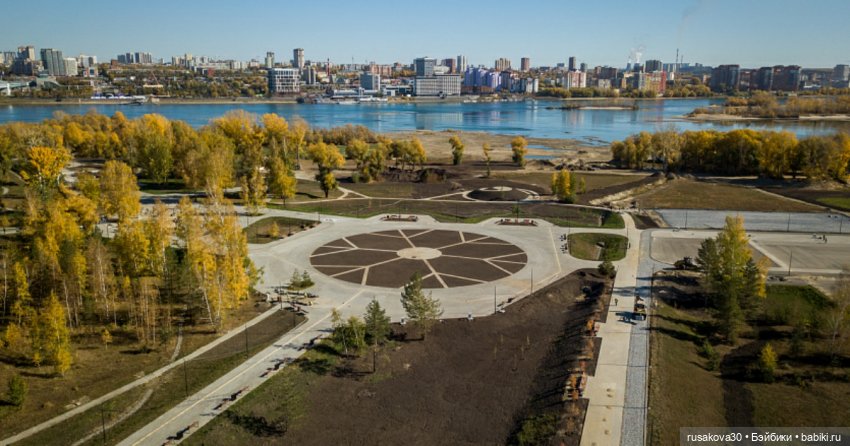 Снежка и лисята гуляют по парку Арена