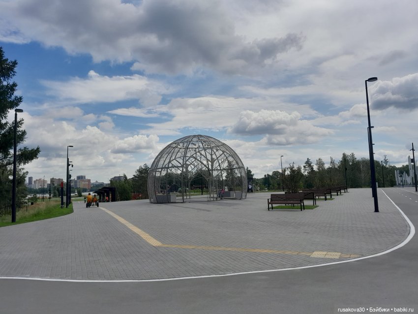 Снежка и лисята гуляют по парку Арена