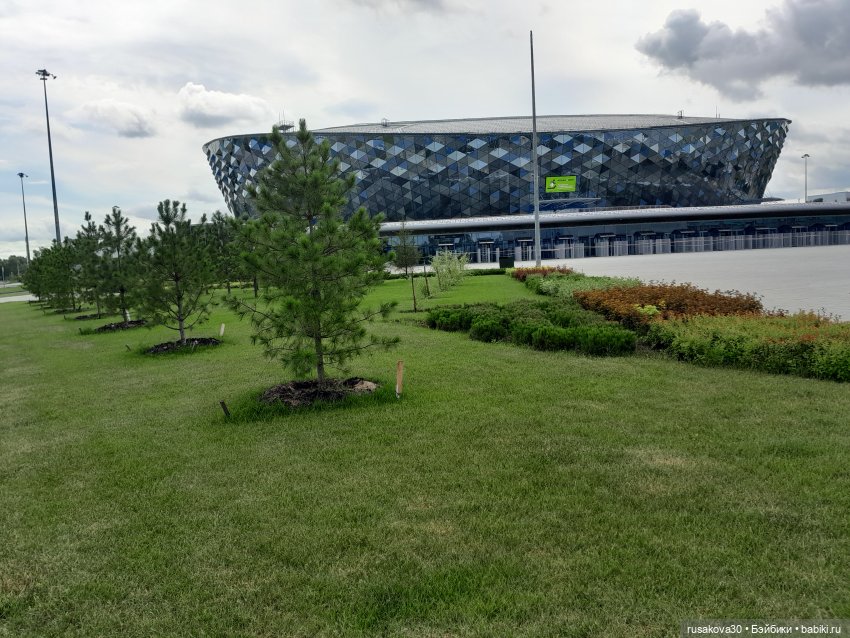 Снежка и лисята гуляют по парку Арена