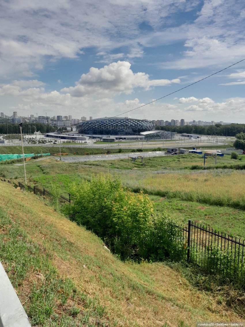 Снежка и лисята гуляют по парку Арена (фото 7)