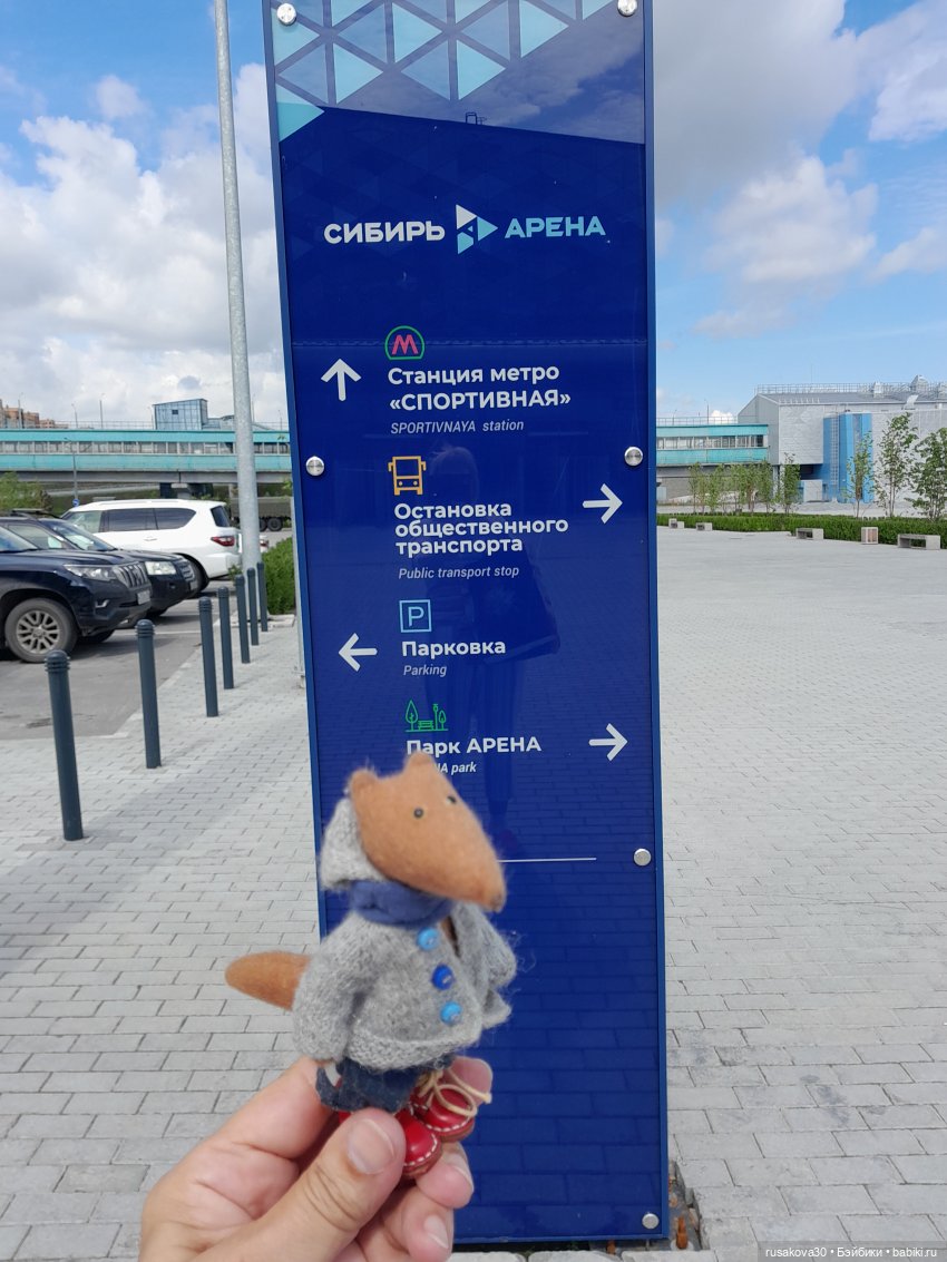 Снежка и лисята гуляют по парку Арена (фото 2)