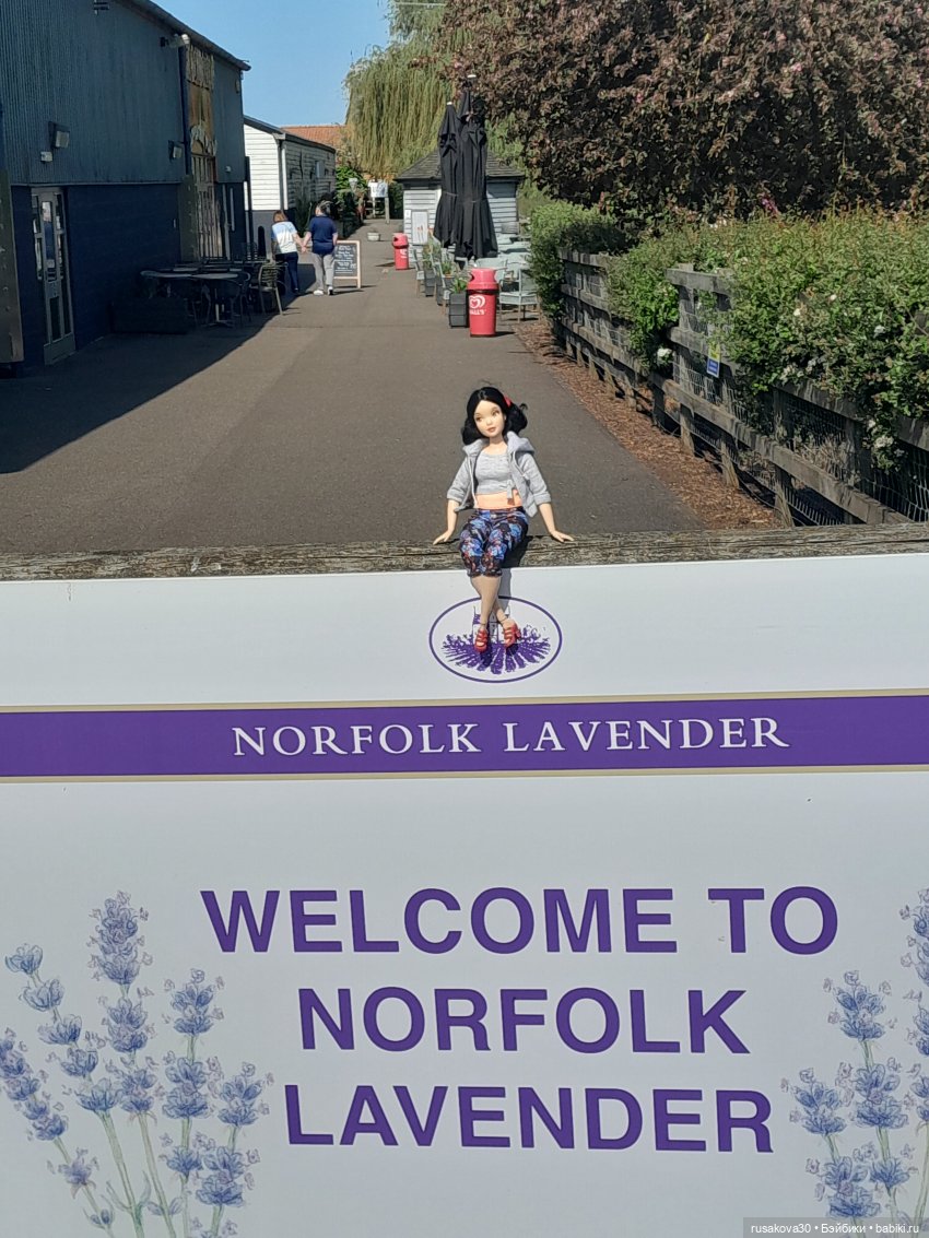 Вот почти и пролетело 11 лет (фото 3)