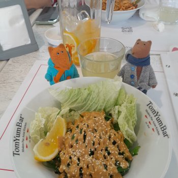 Как Людвиг и Нильс в китайском кафе побывали.