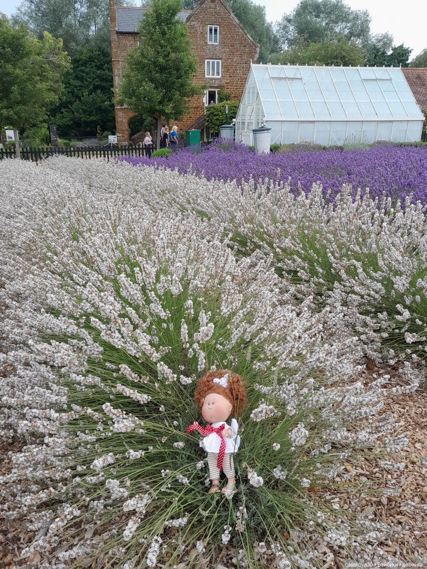 Мийка и лаванда — Куклы Nines d'Onil (Нинес): Миа (Mia) (фото 6)