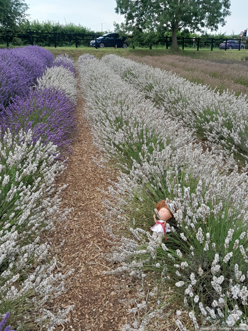 Мийка и лаванда — Куклы Nines d'Onil (Нинес): Миа (Mia) (фото 5)