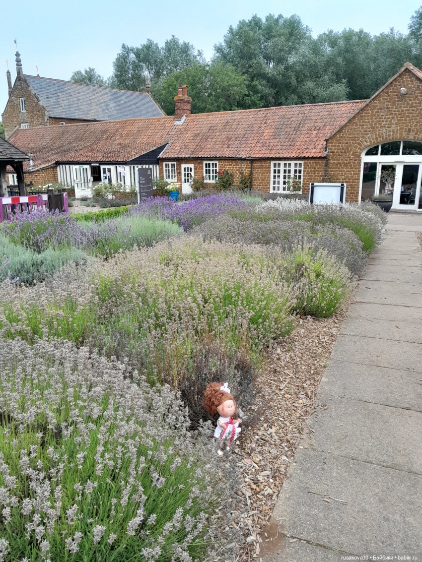 Мийка и лаванда — Куклы Nines d'Onil (Нинес): Миа (Mia)